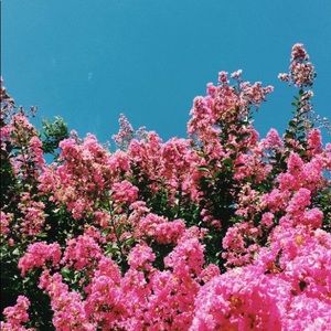 Meet your Posher, Aileen